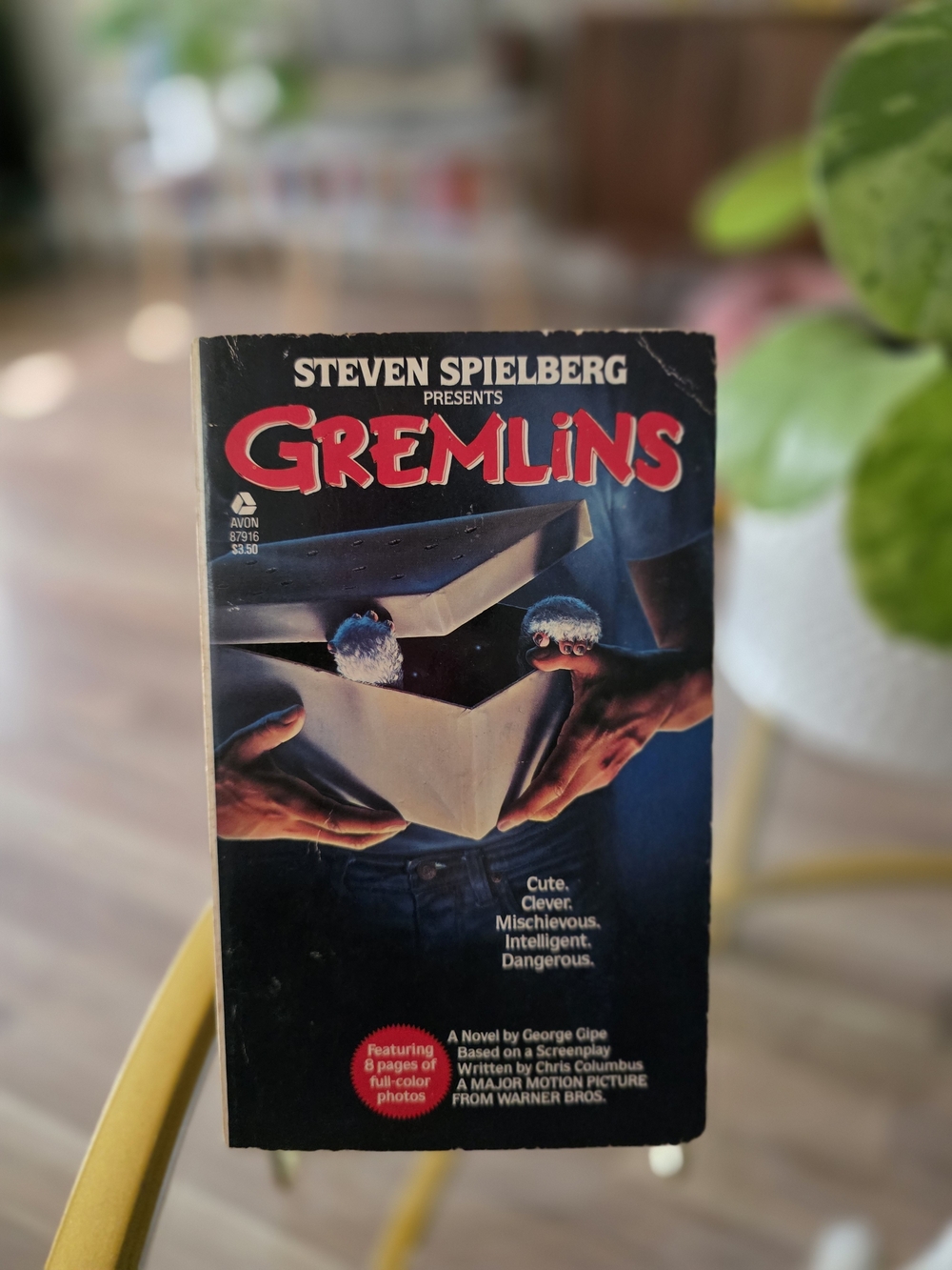 Gremlins Paperback Novel